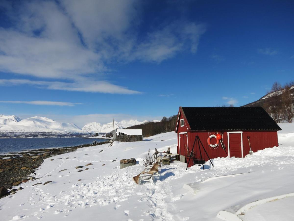 Olderdalen Ski Camp Zewnętrze zdjęcie