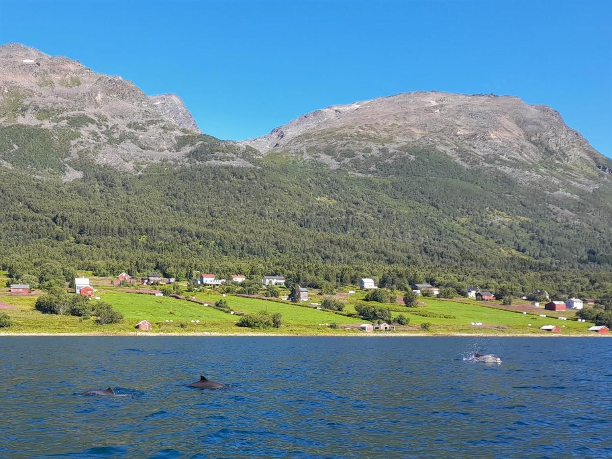 Olderdalen Ski Camp Zewnętrze zdjęcie